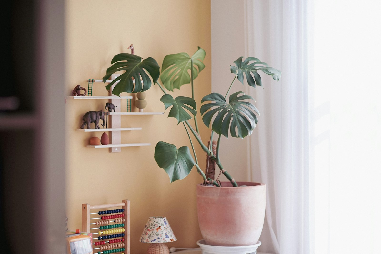 Jak plamy na ścianach w domu?